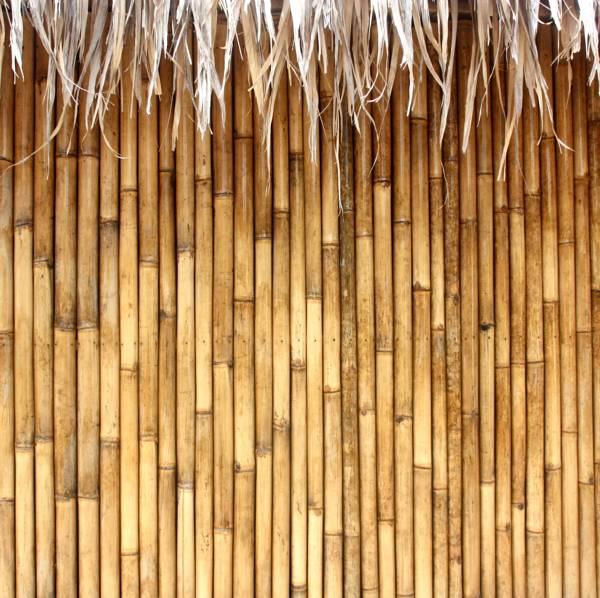 Bamboo Bamboo 