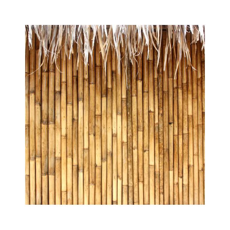 Bamboo Bamboo 