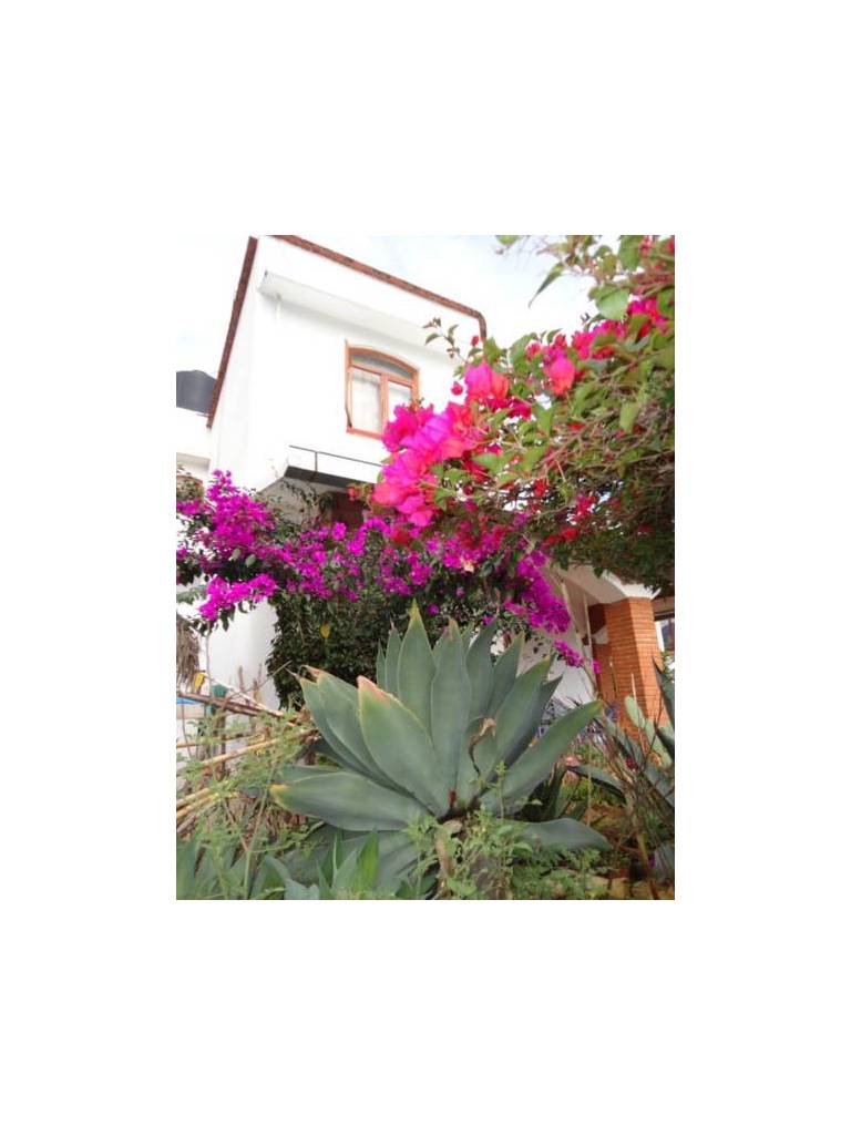 Casa Loma Linda in Oaxaca with stunning views 