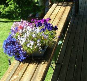Отдых в The Ship House Inn Bed & Breakfast  - США, Вашингтон