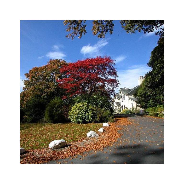 Gilpin Lodge Country House Hotel 