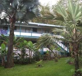 Туры в Wild Ginger Inn Hotel & Hostel  в США
