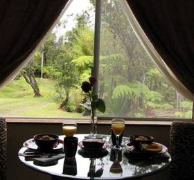 Туры в Volcano Fern Forest Retreat  в США