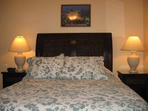 Maui Suncoast - Maui Vista 