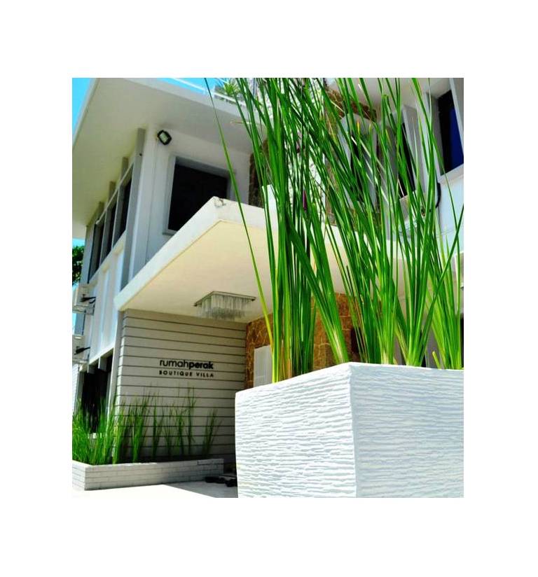 Rumah Perak Boutique Villa 