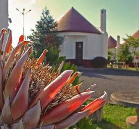 Отдых в Cabanas Sao Jorge Village  - Португалия, Мадейра