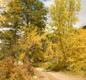Туры в McGregor Mountain Lodge  в США