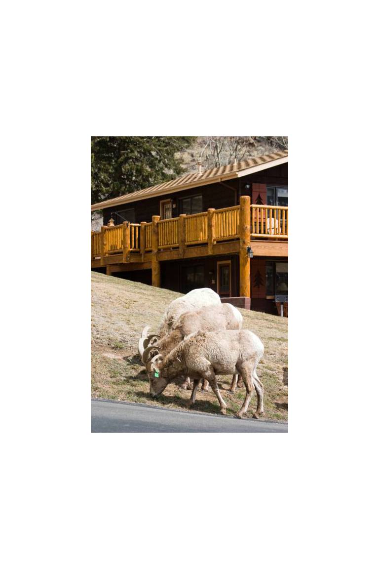 McGregor Mountain Lodge 