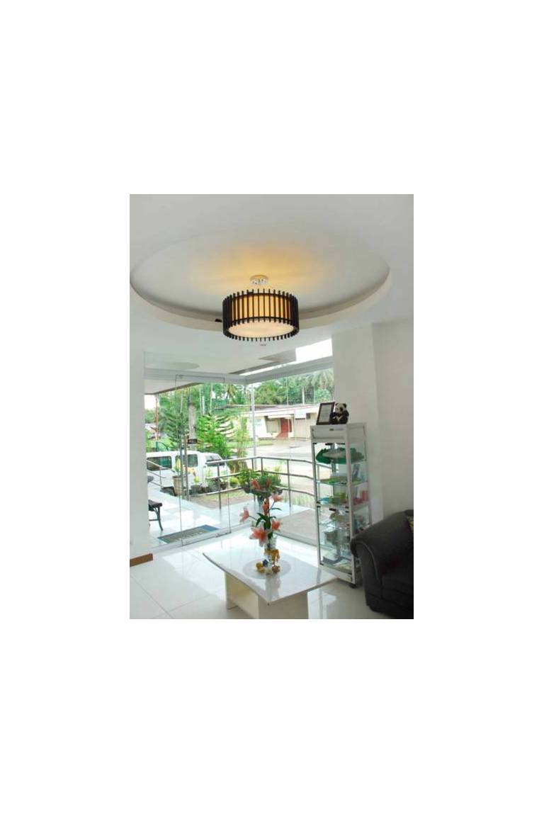 Panda Tea Garden Suites 