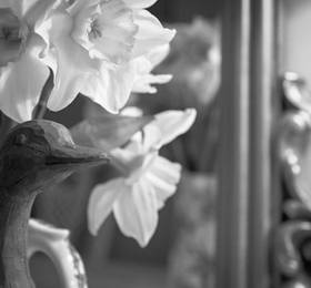 Elim Lodge Guest House  в Виндермире