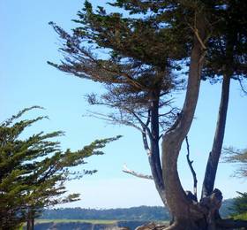 Sea View Inn - Carmel  в Калифорнии