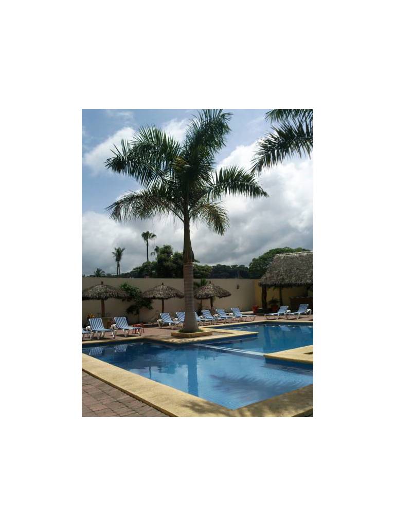 Casa Margarita Hotel 