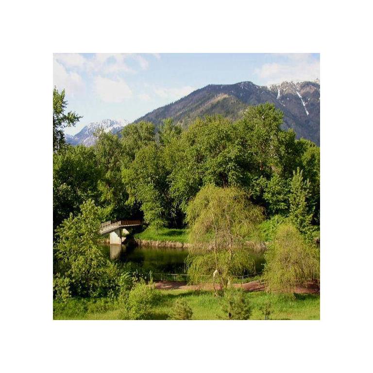 The Blackbird Lodge 