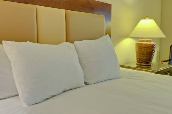 Carmel Village Inn  2* США, Калифорния