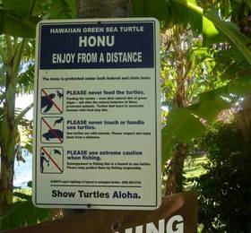Polynesian Shores  в Гавайских островах