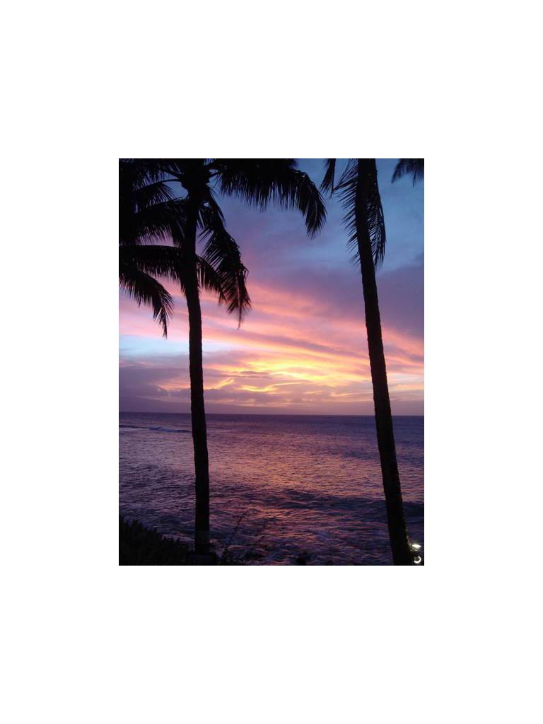Polynesian Shores 