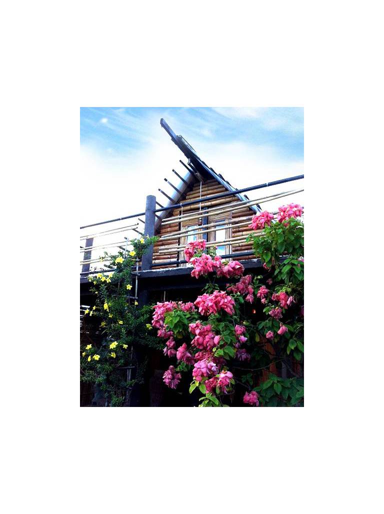 The Village House 