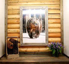 Туры в Moose Creek Inn  в США