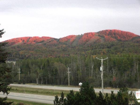 Motel Tremblant  2* Канада, Квебек