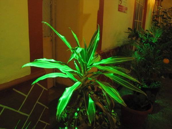Hotel del Paseo 2* Мексика, Пуэбла