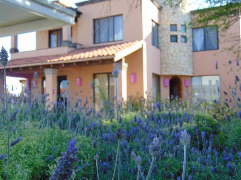 Hotel Feregrino 