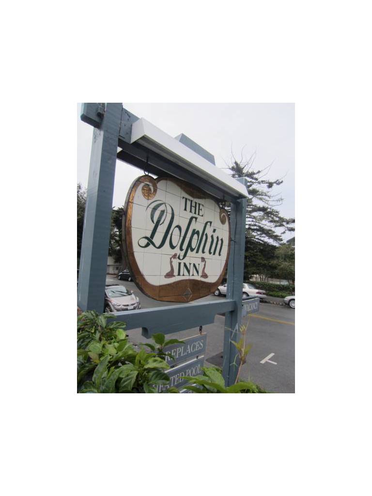 The Dolphin Inn 