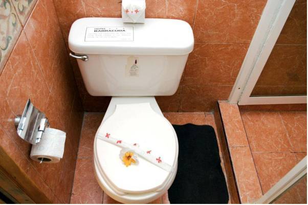 Hotel Barracuda 3* Мексика, Косумель