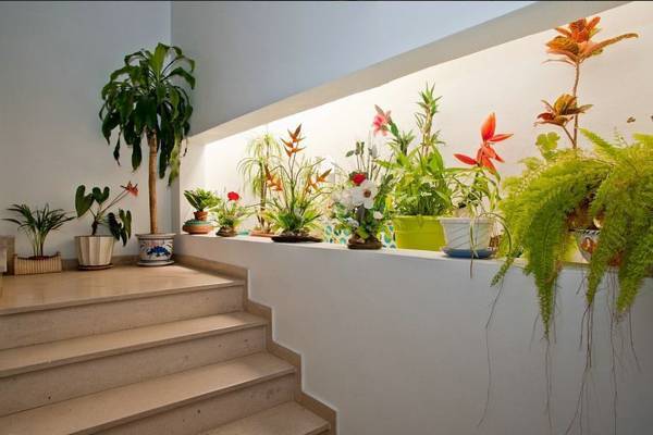 Hotel Adelaide 2* Португалия, Алгарве