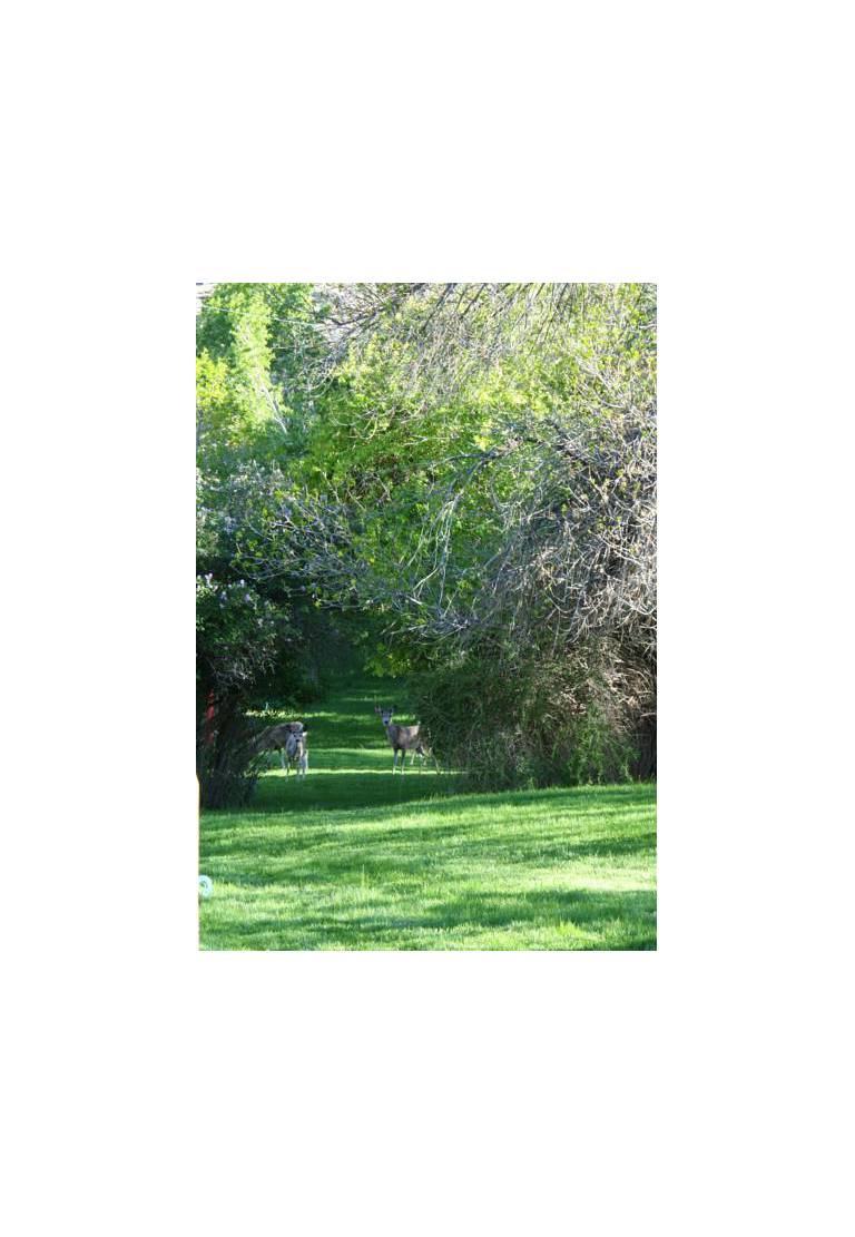 Red Pole Ranch 