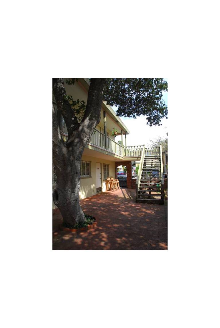 Carmel Lodge 