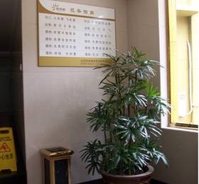 Shindom Inn Beijing Dazhalan  в Пекине