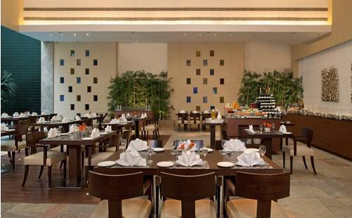 Fortune Park D J Avenue  4* Индия, Дели