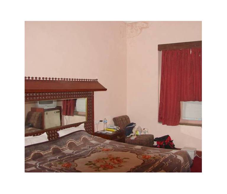 Hotel Krishna Palace 