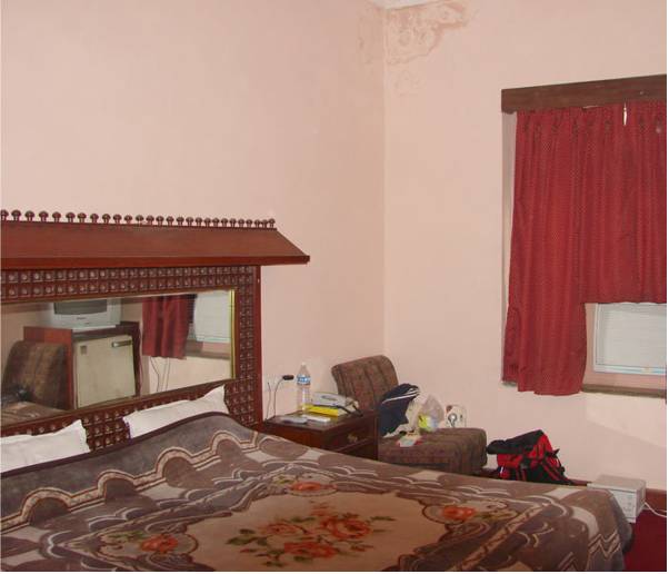 Hotel Krishna Palace 