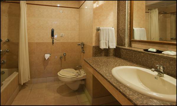 Hotel Tourist Deluxe  3* Индия, Дели