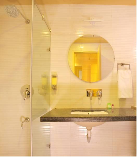 Hotel Krishna Plaza  3*