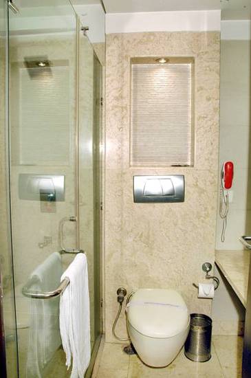 Hotel Centrum  3* Индия, Дели