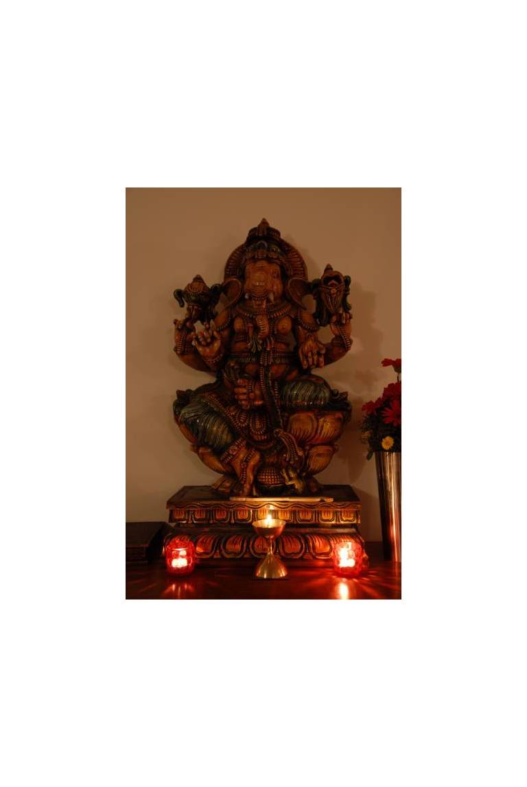 Shanti Home 