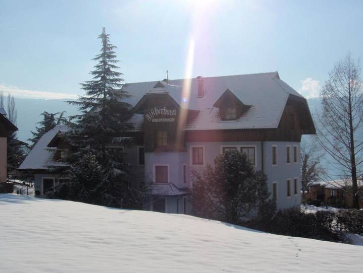 Ferienwohnungen Fischerhaus - direkt am See 4* Австрия, Каринтия