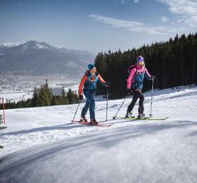 AlpenParks Chalet & Apartment AreitXpress в Зее