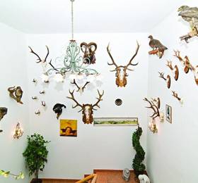 Туры в Vital-Familien-Landgasthof Stadt Wien  в Австрии