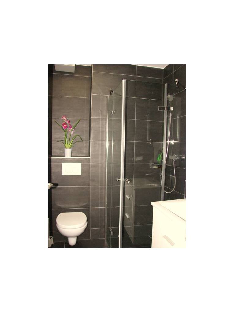 Livingdowntown Albis Apartments 