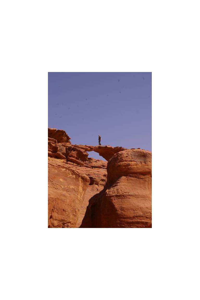 Wadi Rum Full Moon Camp & Tours 