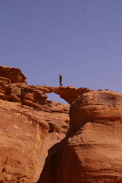 Wadi Rum Full Moon Camp & Tours 