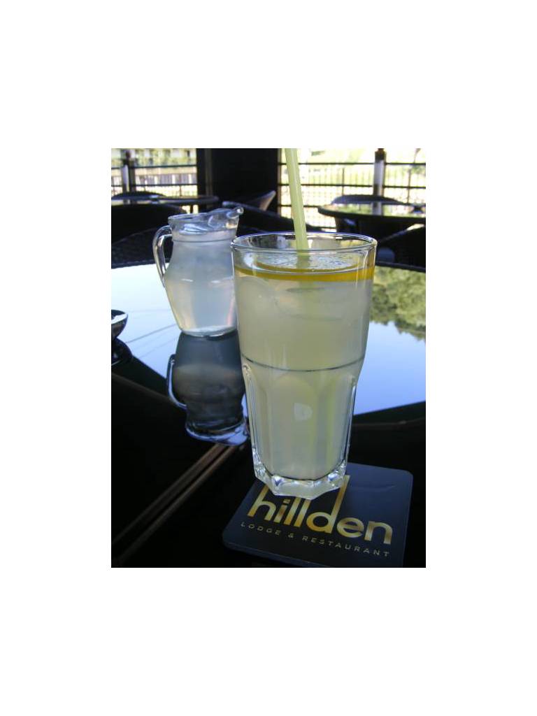 Hotel Hillden Lodge&Restaurant 