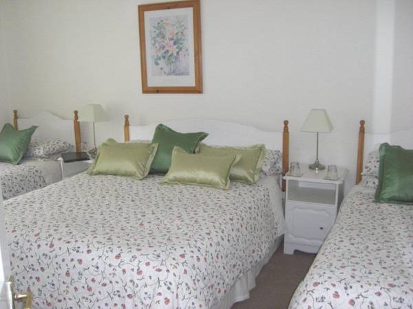 Lorcan Lodge Bed and Breakfast  3* Ирландия, Дублин