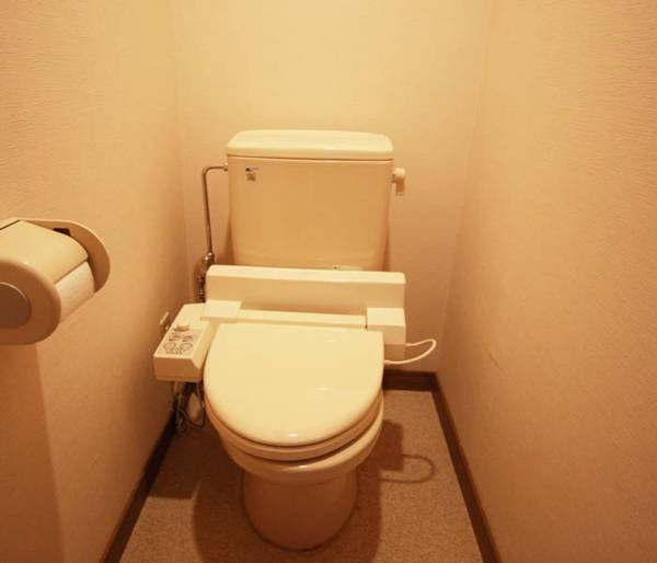 Hotel Wadano no Mori in Hakuba  2* Япония, Нагано