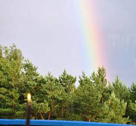 Туры в Creative Guest House Plunksna  в Литве