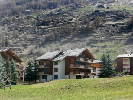 Apartment St. Martin C Tasch  4* Швейцария, Церматт