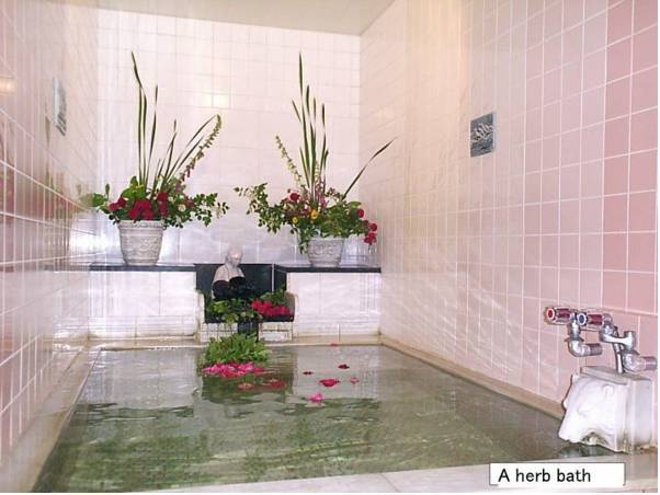 Country Inn Canadian House  2* Япония, Ниигата